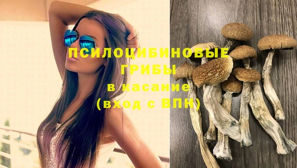 героин Алзамай