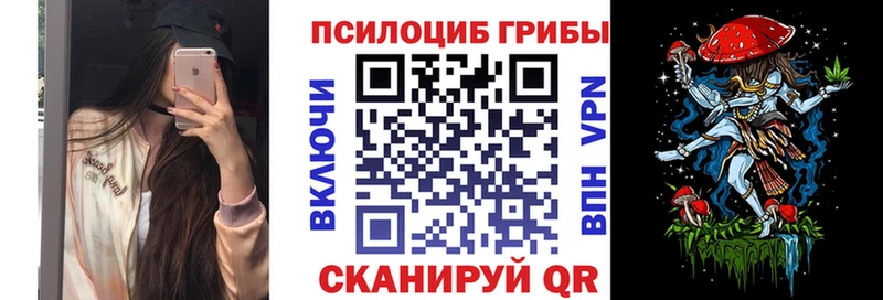 хочу наркоту  Миньяр  мега   Галлюциногенные грибы Magic Shrooms 